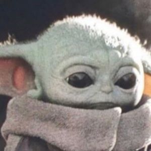 Meet your Posher, Savannah